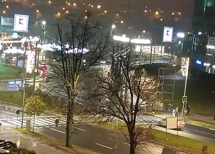 Apartament Ultimul Leu